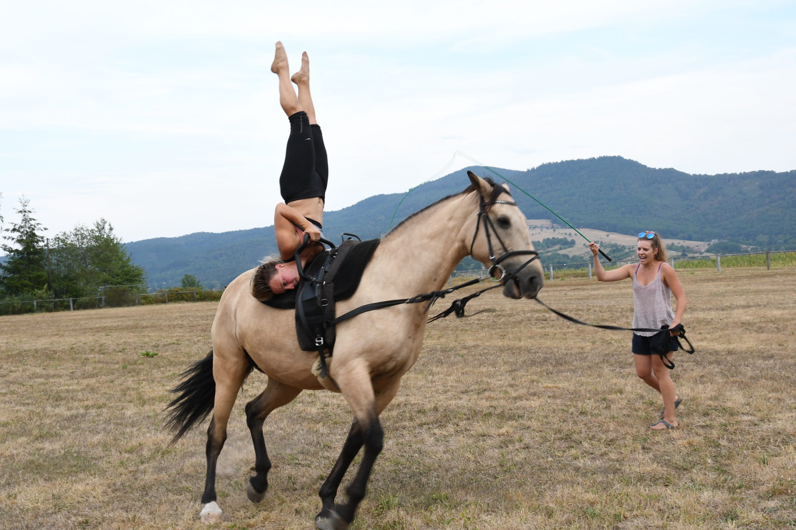 La tête à l'envers