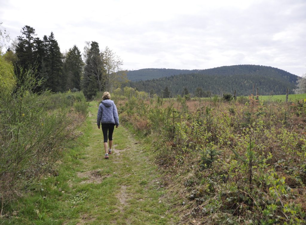 (C)Patrice Bucher 2010